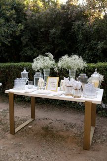 Drink stand με minimal chic διακόσμηση με γυψοφίλη