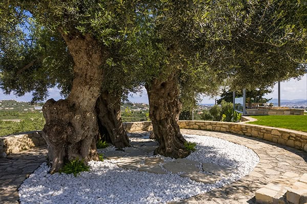 beautiful-wedding-venue-olive-nest-chania_08