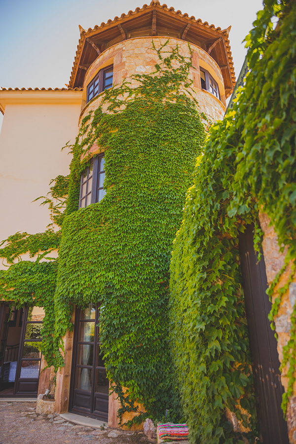gorgeous-summer-wedding-ktima-xatzi-white-peonies_06