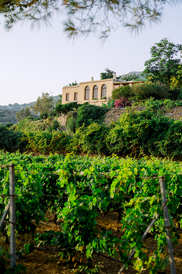 civil-wedding-karystos-beautiful-details_14