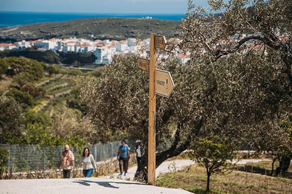 wedding-venues-kourtesis-wine-estate (11)