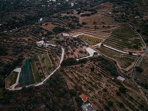 wedding-venues-kourtesis-wine-estate (29)