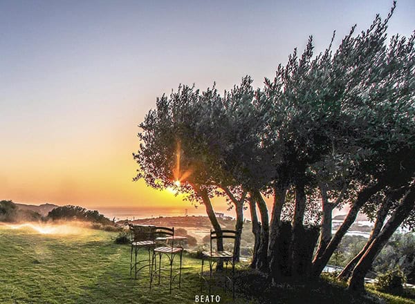 wedding-venues-kourtesis-wine-estate (33)