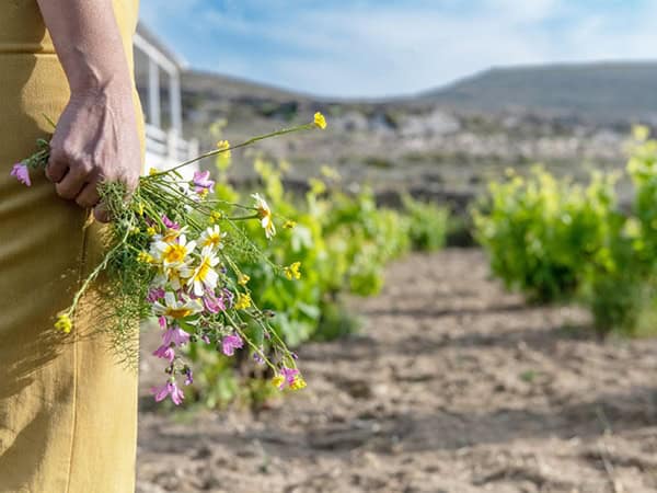 wedding-venues-kourtesis-wine-estate (37)