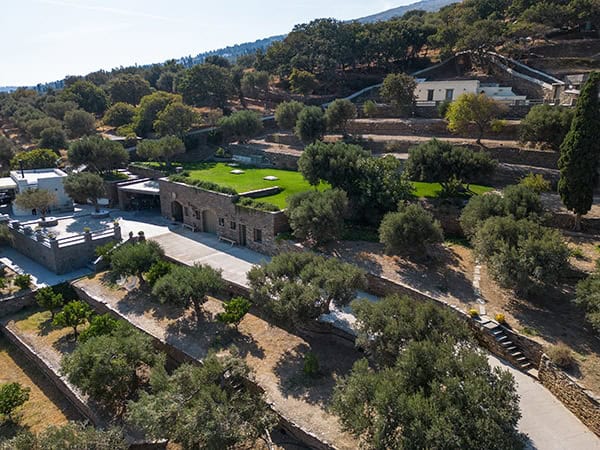 wedding-venues-kourtesis-wine-estate (4)