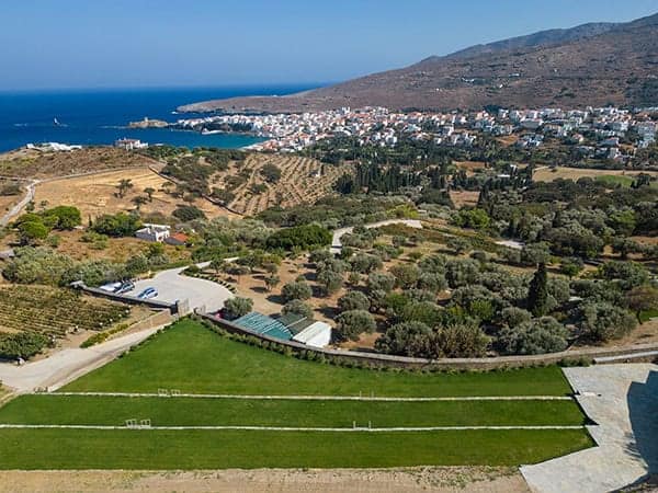 wedding-venues-kourtesis-wine-estate (8)