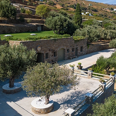 Kourtesis Wine Estate
