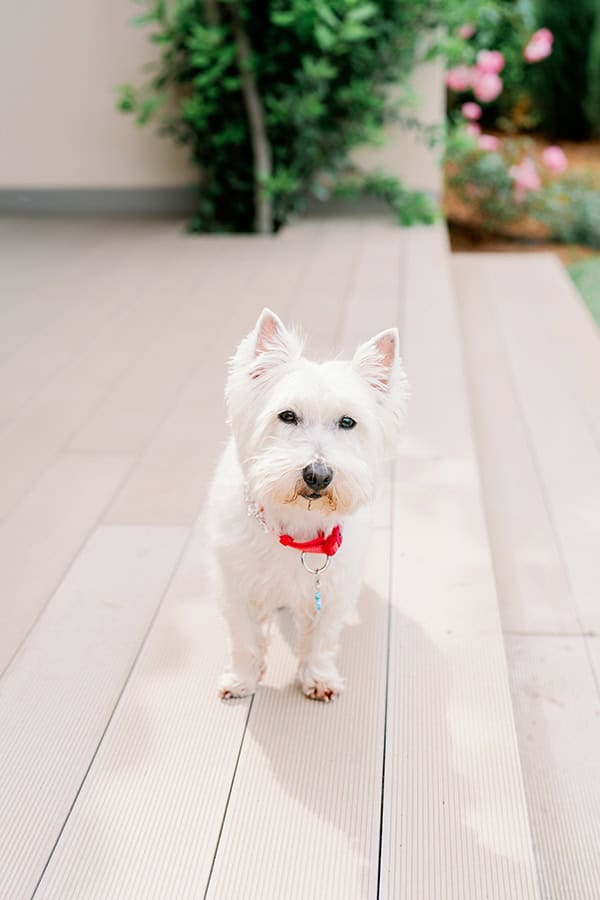 spring-wedding-kropias-gi-pastel-hues_06