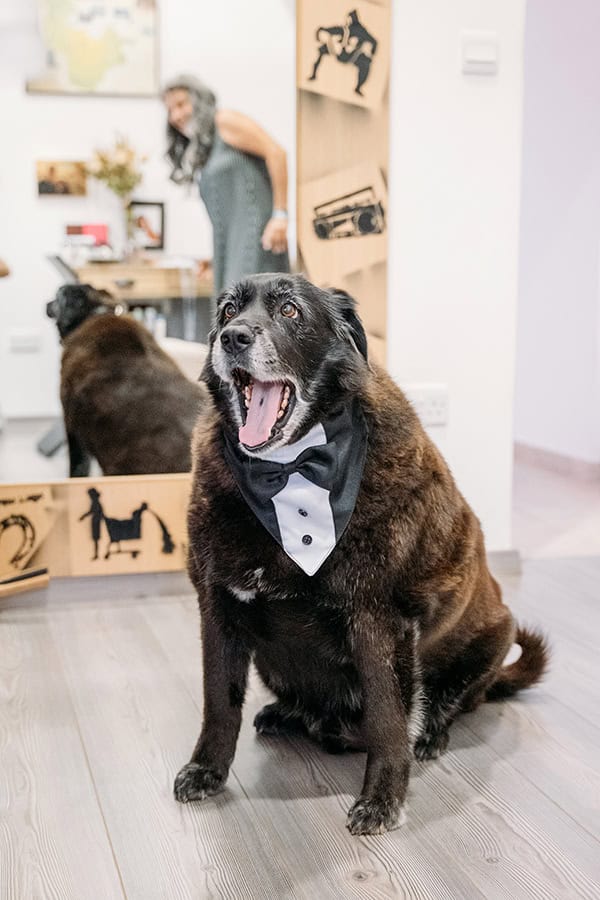 summer-wedding-nicosia-olive_05