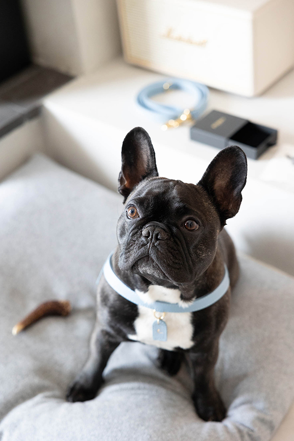 chic-wedding-athens-all-white-florals_04