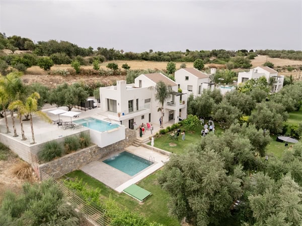 beautiful-spring-wedding-olive-grove_21