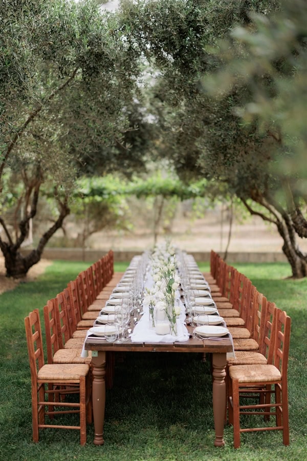 beautiful-spring-wedding-olive-grove_25
