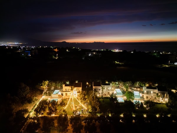 beautiful-spring-wedding-olive-grove_34
