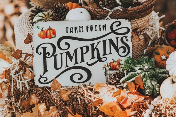 Fall inspired wedding decoration with pumpkins