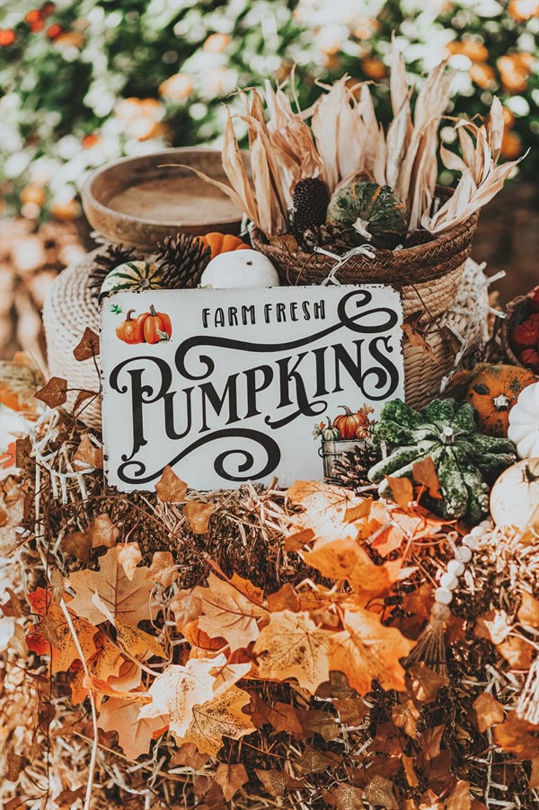 fall-inspired-wedding-decoration-with-pumpkins_21