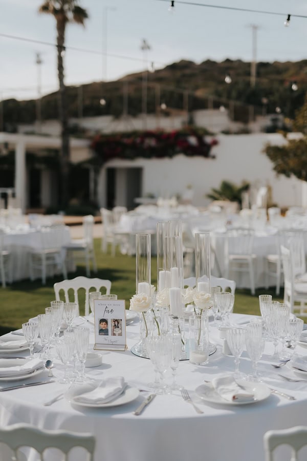 Elegant Spring Wedding White Flowers Stylish Details