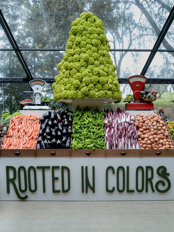 Engage Tuscany Experience Most Amazing Events We Have Seen