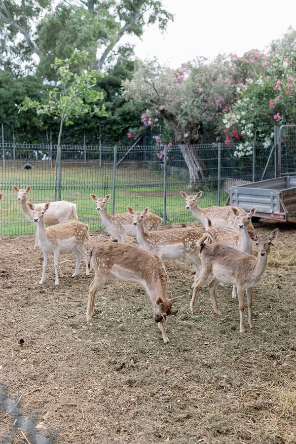 Plan You Wedding Reception At The Beautiful Deer Vallery Venue