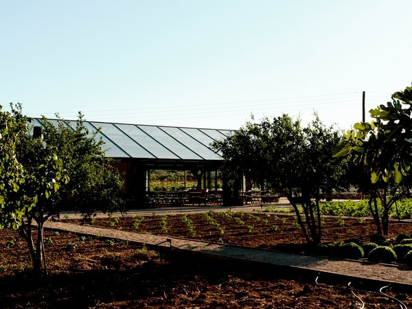 Plan Your Nature Inspired Wedding The Glasshouse