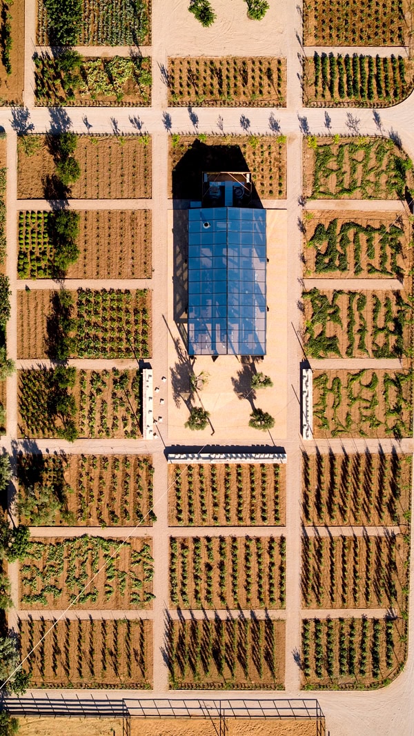 Plan Your Nature Inspired Wedding The Glasshouse