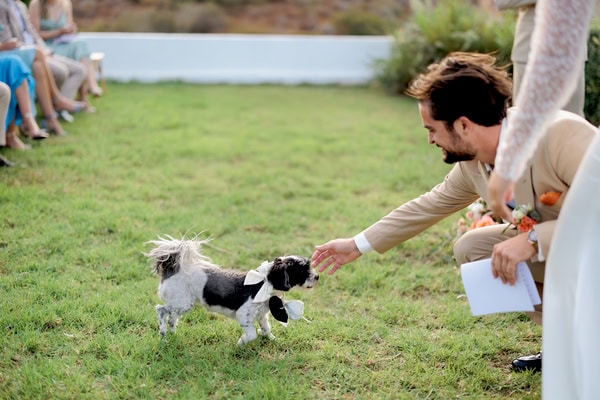 Summer Destination Wedding Chania Sunset Hues