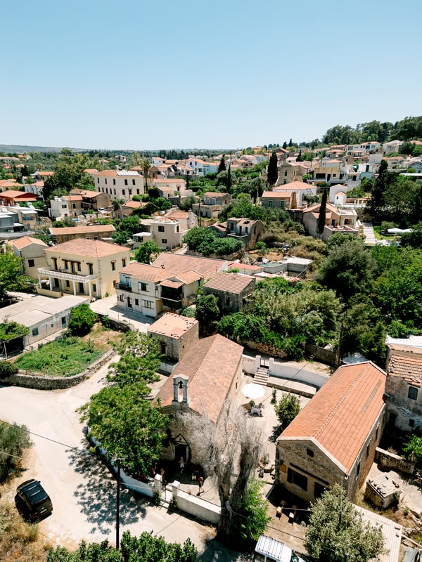 Summer Wedding Chania Details Chamomile Olive Leaves