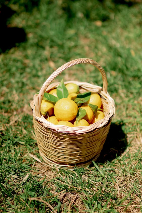 Wedding Full Of Aromas Authentic Flavors Mamalis Catering