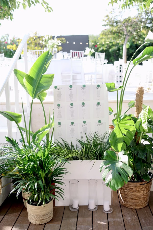 Fall Beach Wedding In Paphos