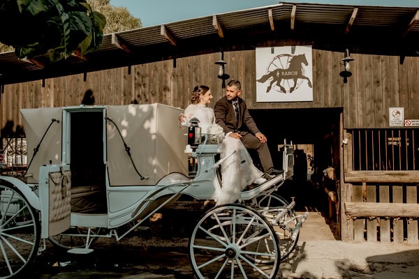 Lovely Next Day Shoot Horse Ranch