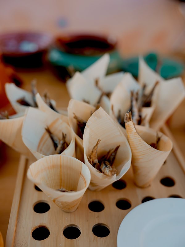 Romantic Destination Wedding Courti Estate