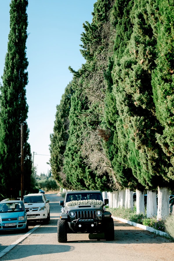 Summer Wedding In Pyrgos With Romantic Details