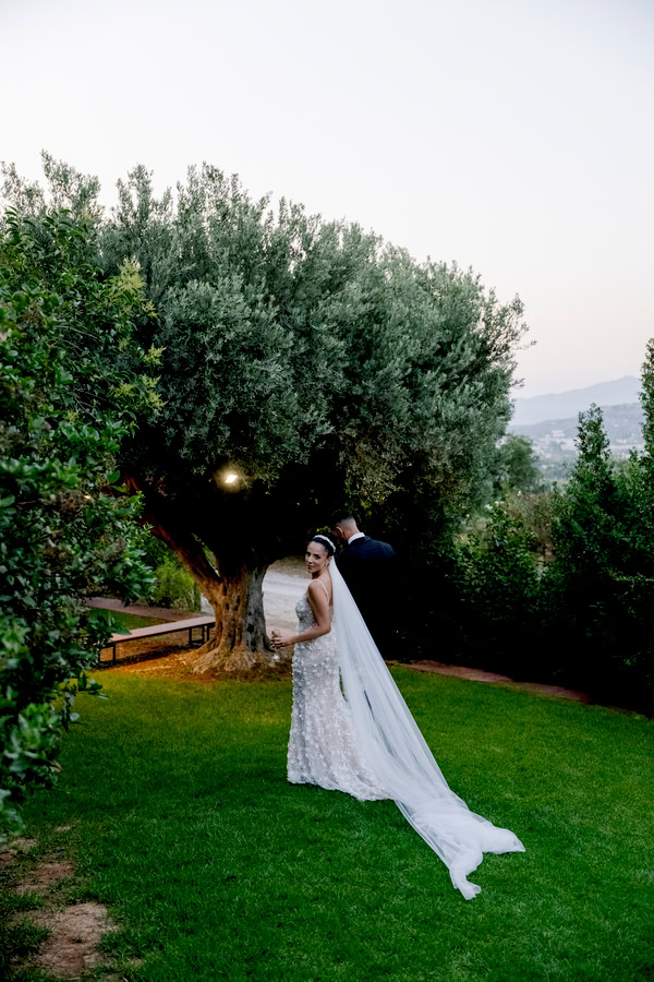 Romantic Wedding Baptism Athens Hydrangeas