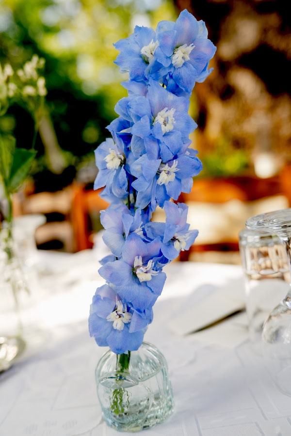 wedding-planners-bloem-decoration-events-4