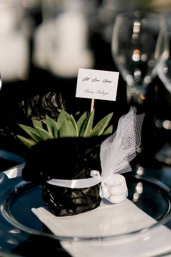 Modern Edgy Wedding White And Black Roses