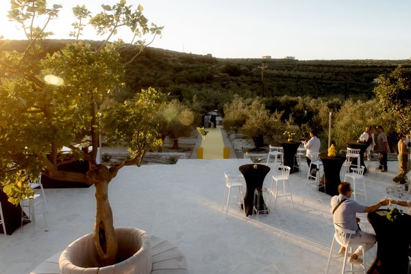 New Wedding Venue Proposal For Wedding In Crete Silo And Sage