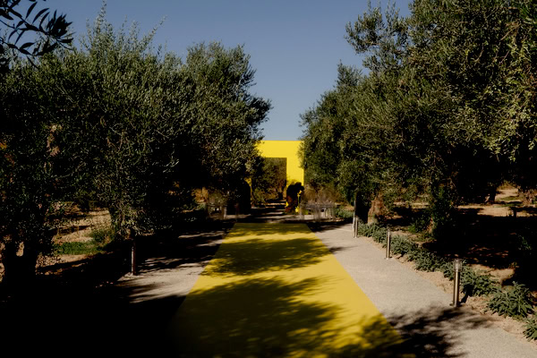 New Wedding Venue Proposal For Wedding In Crete Silo And Sage