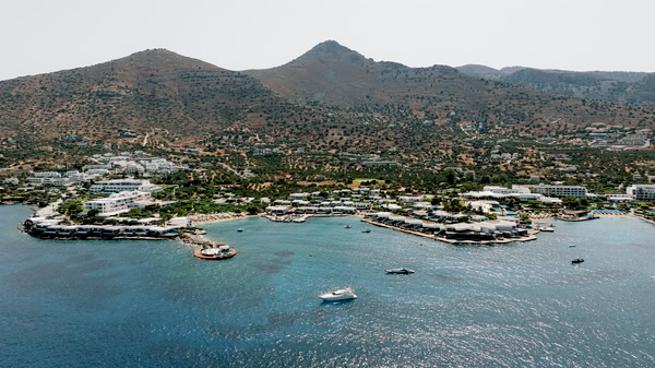 Romantic Seaside Wedding Florals