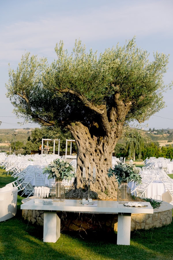 Romantic Summer Wedding White Decor Alsos Nimfon