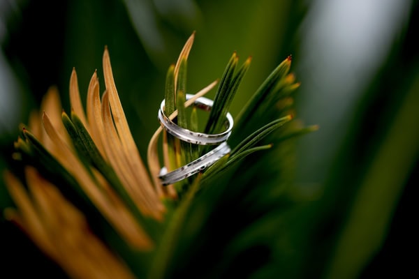 Rustic Wedding Ivory Roses Rustic Details