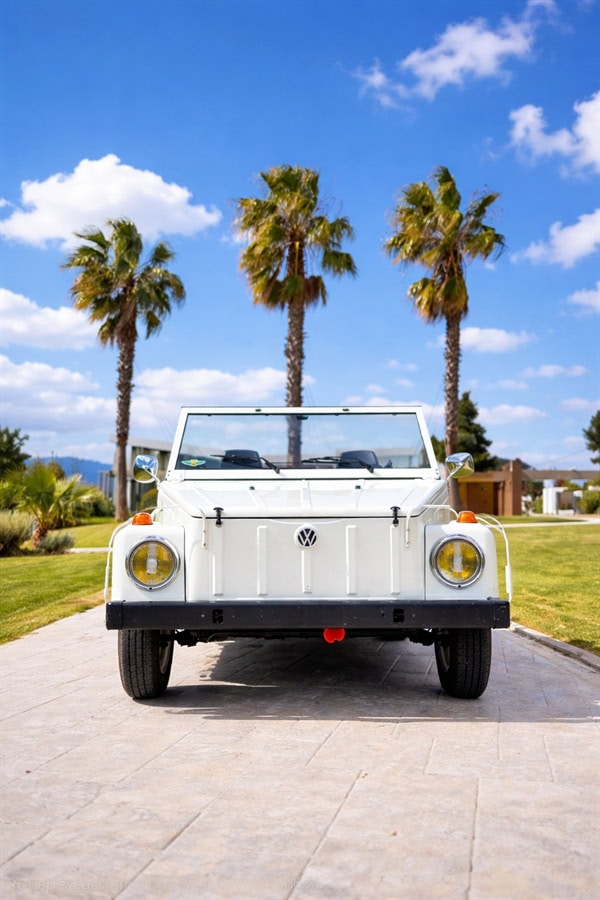 wedding-car-rentals-retro-vibes-3