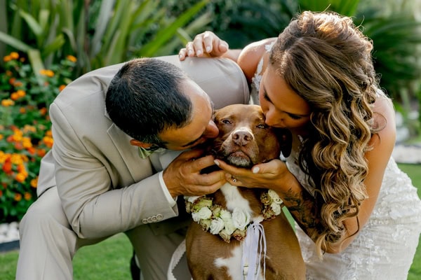 Destination Wedding In Chania Garden Style And Sea View