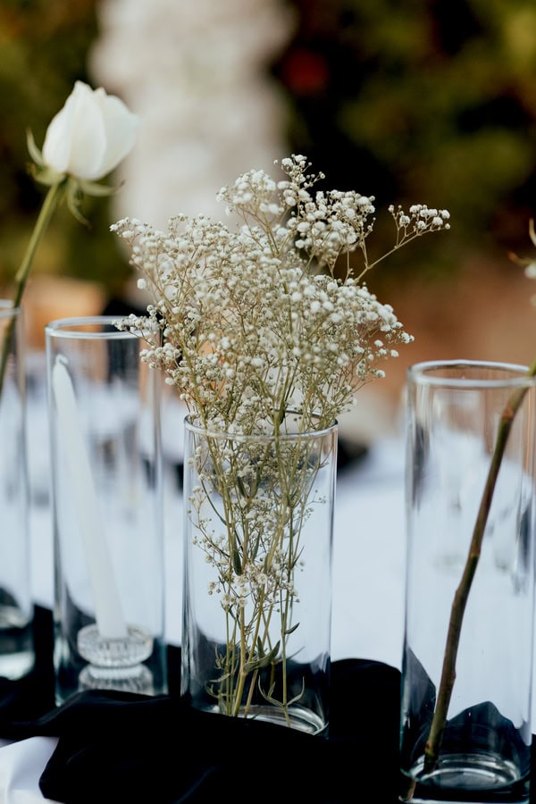 Destination Black And White Summer Wedding