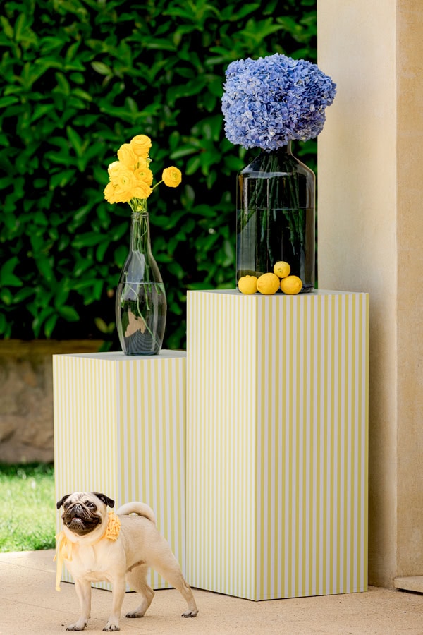 Amalfi Coast Dolce Vita Style Shoot