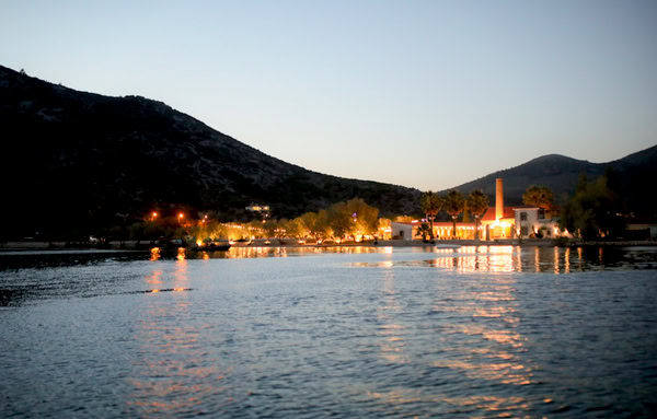 Destination Wedding Lesvos White Flowers